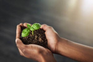Cropped shot of a businessman holding a plant growing out of soil
